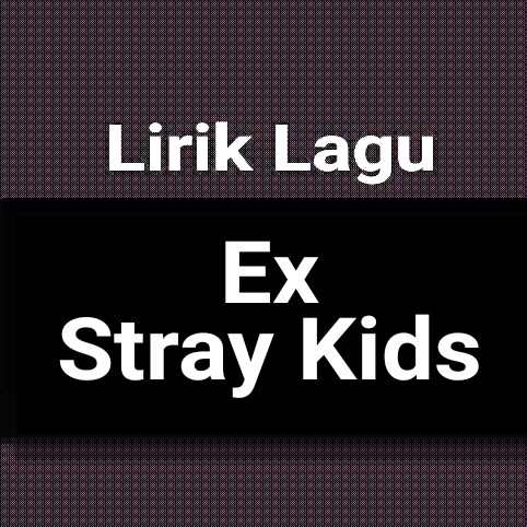 Stray kids ex