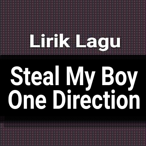 One direction steal my boy
